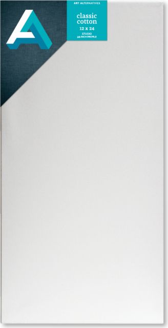 CANVAS STUDIO 12X24