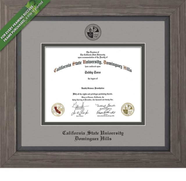 Framing Success Greystone 8.5 X 11 Diploma With Double Mat - ONLINE ONLY
