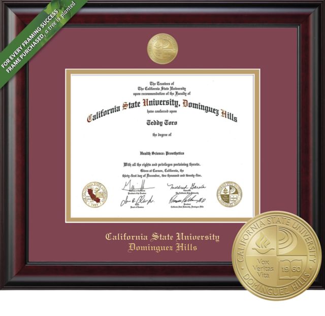 Framing Success Classic 8.5 x 11 Diploma with Double mat and Medallion