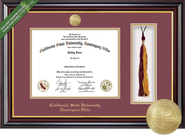 Framing Success Windsor 8.5 x 11 Diploma and Tassel Cut-out with Double mat and Medallion