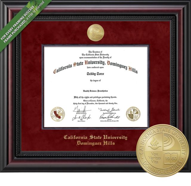 Framing Success Legacy 8.5 x 11 Diploma with Maroon Suede mat, Wood Fillet and Medallion