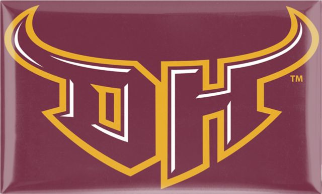 California State University at Dominguez Hills Domed Rectangle Magnet