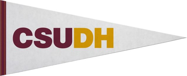 California State University at Dominguez Hills 12x30 Pennant