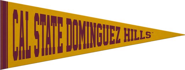 California State University at Dominguez Hills 9x24 Pennant