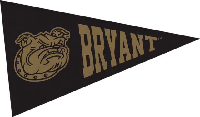 Bryant University Bulldogs Mini Magnet Pennant