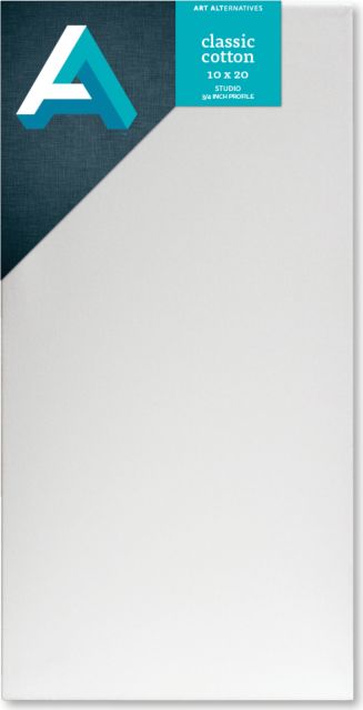 CANVAS STUDIO 10X20