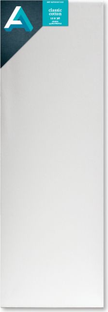 CANVAS STUDIO 12X36