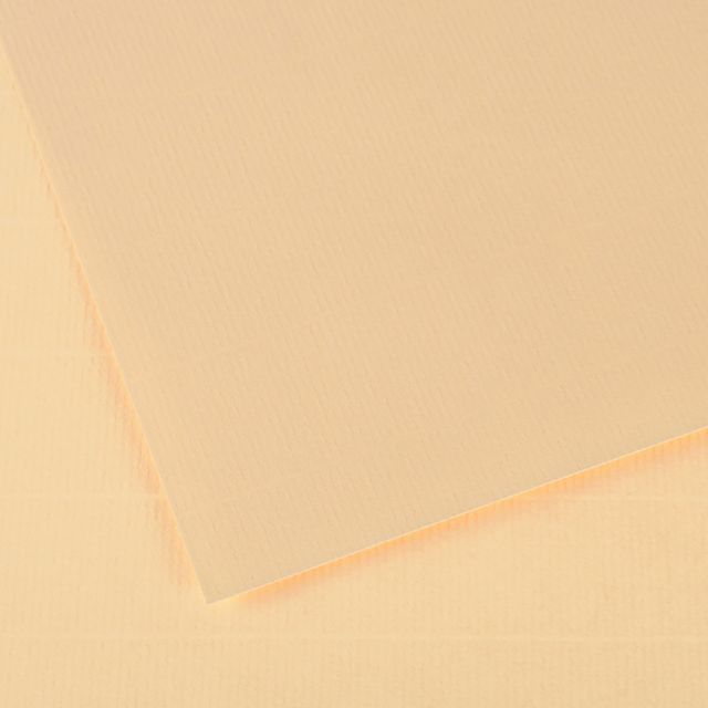 INGRES #48 CREAM 19X25