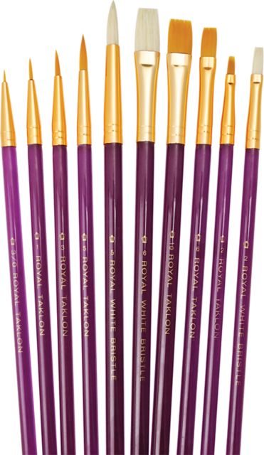 SUPER VALUPAK 10 PACK WHITE BRISTLE AND GOLDEN TAKLON ASSORTED