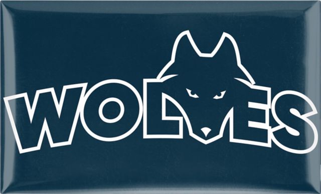 Northwestern Polytechnic 3x5 Dome Magnet