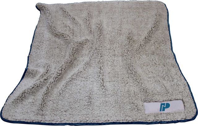 Northwestern Polytechnic 50x60 Blanket