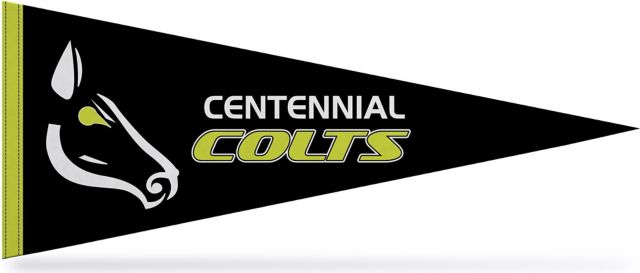 Centennial College Progress Campus 12x30 Colts Pennant