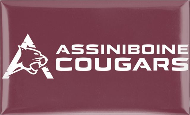Assiniboine Community College 3 x 5 Dome Magnet