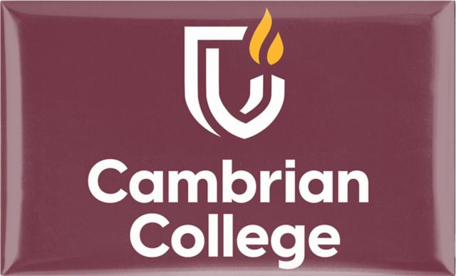 Cambrian College 3x5 Dome Magnet
