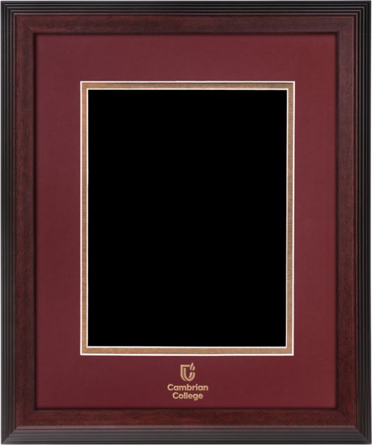 Cambrian College Linear 13 x 16 Dipoloma Frame