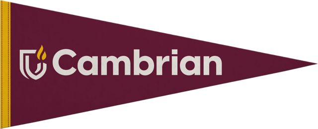 Cambrian College 12x30 Pennant