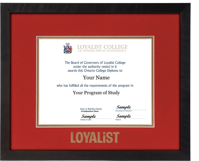 Loyalist College 16 x 13 Diploma Frame Florentine Black