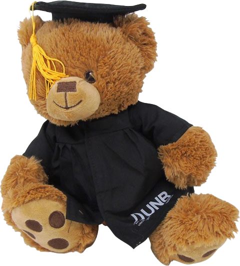 Graduation deals bear plush