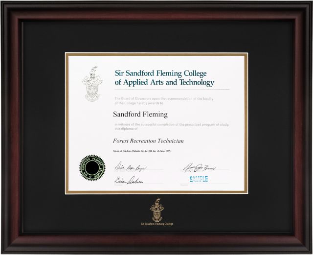 Fleming College 15x19 Studio Diploma Frame
