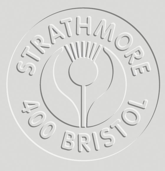 Strathmore Bristol Board 400 Series 3Ply Smooth 22 x 30