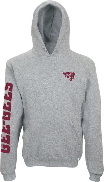 Telfer Hooded Sweatshirt: Université d'Ottawa