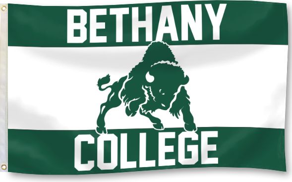 Bethany College Bison 3' x 5' Durawave Flag