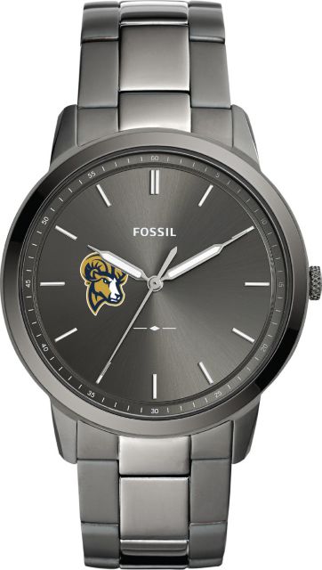 Fossil The Minimalist Three-Hand Smoke Stainless Steel Watch - ONLINE ONLY