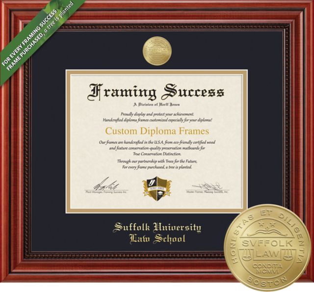 Framing Success Millennium 12 x 15 Laws  Diploma with Medallion and Double Mat - ONLINE ONLY