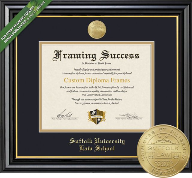 Framing Success Coronado 12 x 15 Law  Diploma with Medallion and Double Mat - ONLINE ONLY
