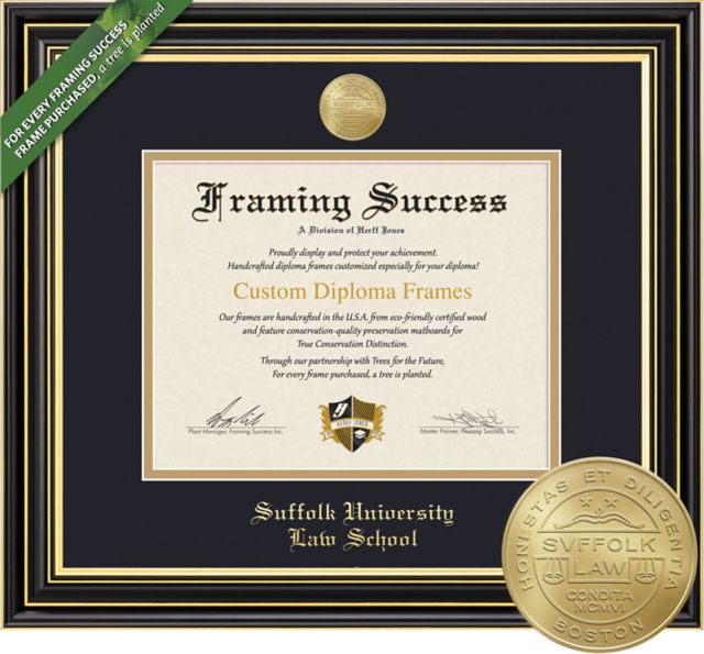 DIPL 12 x 15 DM Prestige 965