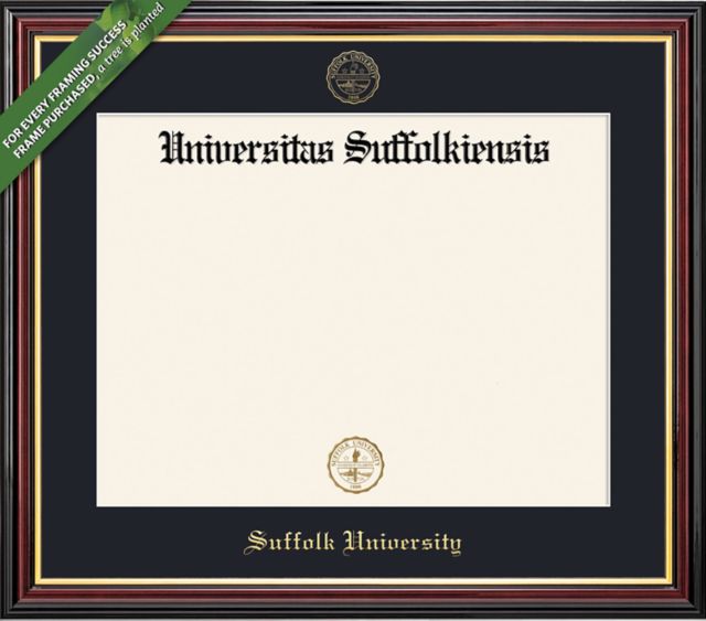 Framing Success Academic 12 x 15 BA Diploma with Single mat - ONLINE ONLY