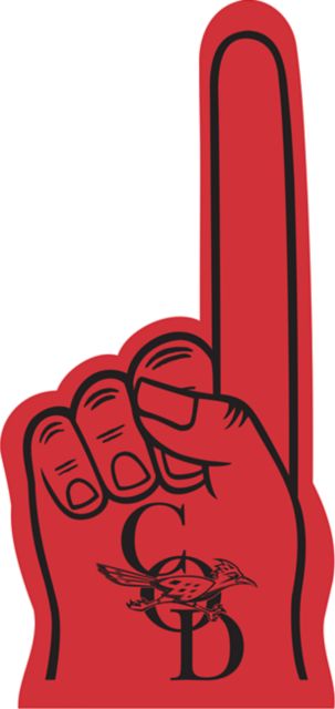 College of the Desert Roadrunners 18'' Foam Finger