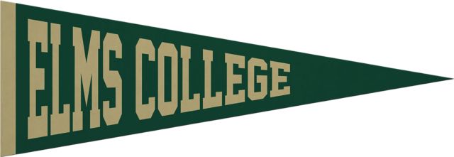 College of Our Lady of the Elms 5x15 Pennant