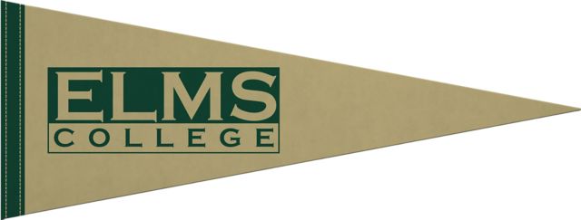 College of Our Lady of the Elms 9x24 Pennant