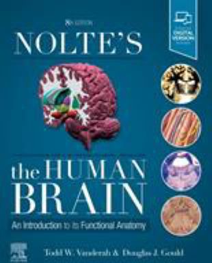 Nolte's the Human Brain