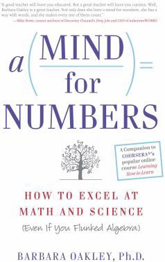 Mind for Numbers