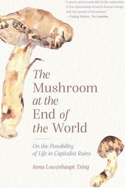 Mushroom at the End of the World