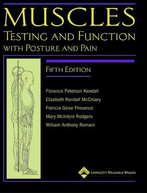 Muscles: Testing & Function