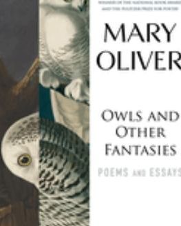 OWLS & OTHER FANTASIES  POEMS