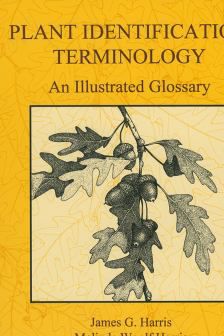 Plant Identification Terminology