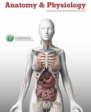 Anatomy & Physiology (Access Code)
