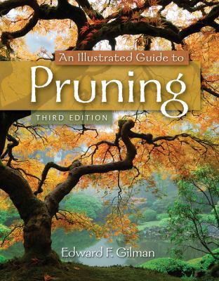 Illustrated Guide to Pruning