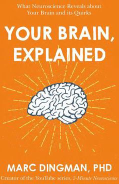Your Brain, Explained