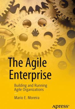 Agile Enterprise