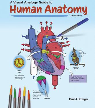 Visual Analogy Guide to Human Anatomy