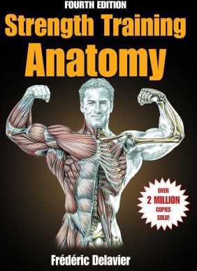 Strength Training Anatomy
