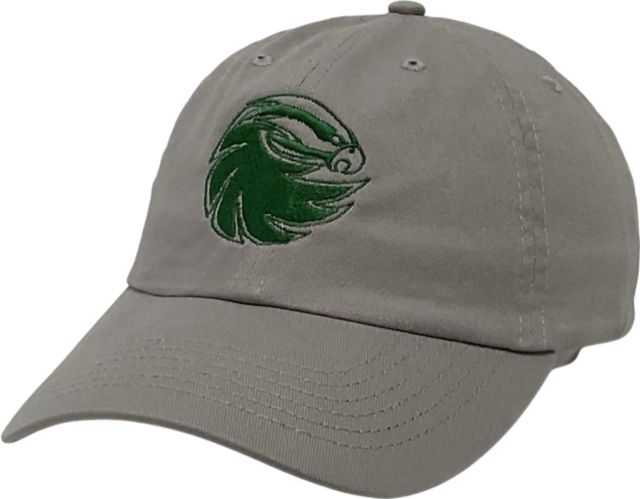 Bristol Community College Bayhawks Adjustable Cap