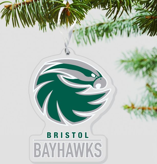 Bristol Community College Bayhawks 3 x 4 Ornament