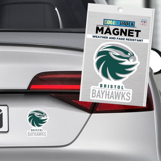 Bristol Community College Bayhawks 4" x 4" Magnet