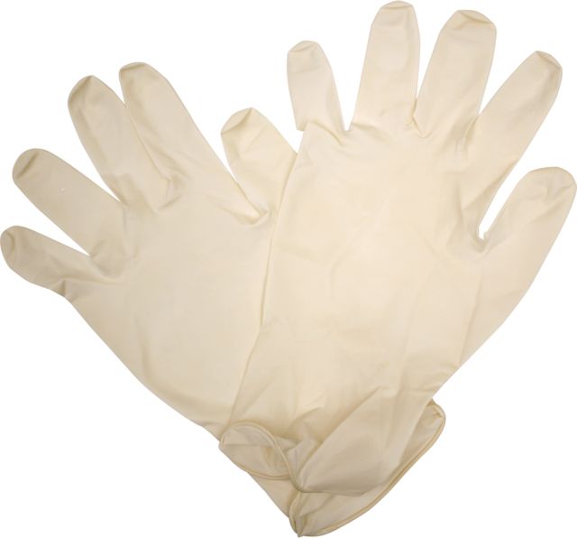 SAFTY PROD-LATEX GLOVES 10/PK